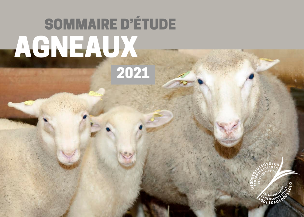 Études de coûts de production : SOMMAIRE - COÛT DE PRODUCTION – AGNEAUX 2021